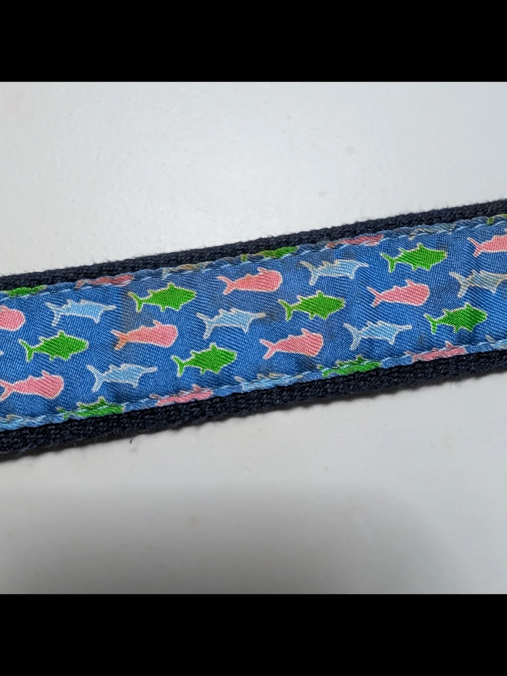 Vineyard Vines Kids Navy Fish Print Belt with Brass Buckle